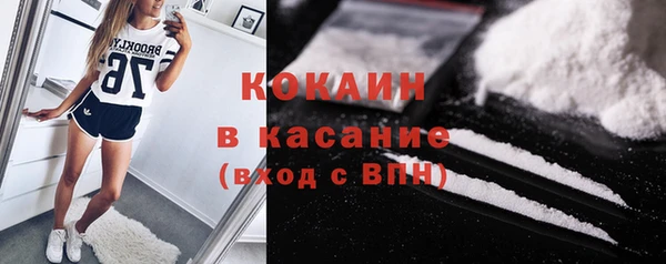 гашик Верея