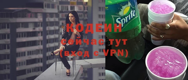 гашик Верея