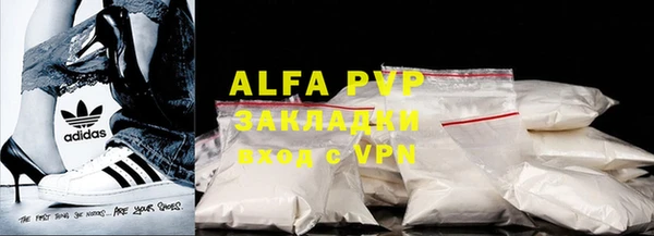 гашик Верея