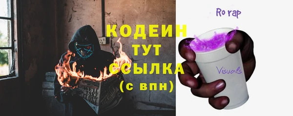 гашик Верея