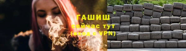стаф Волосово