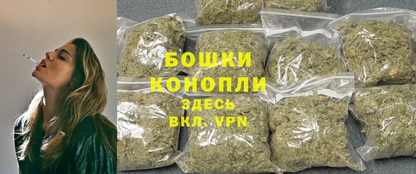 стаф Верхний Тагил