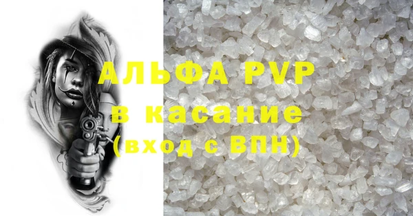 гашик Верея