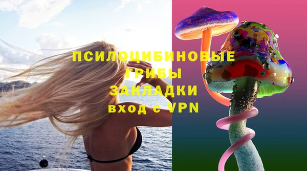 стаф Волосово