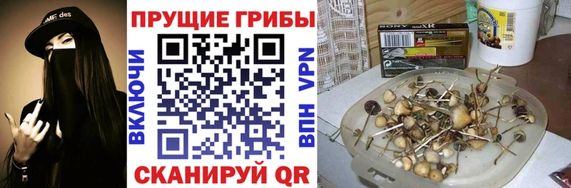 Галлюциногенные грибы мухоморы  цены наркотик  Ветлуга 